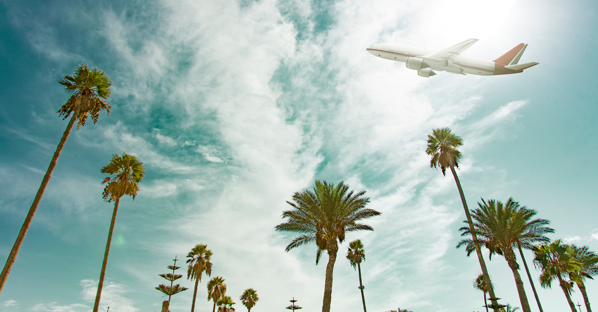 jet in air above palm trees